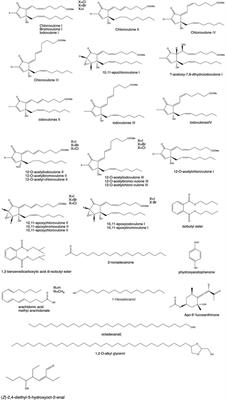 The application and sustainable development of coral in traditional medicine and its chemical composition, pharmacology, toxicology, and clinical research